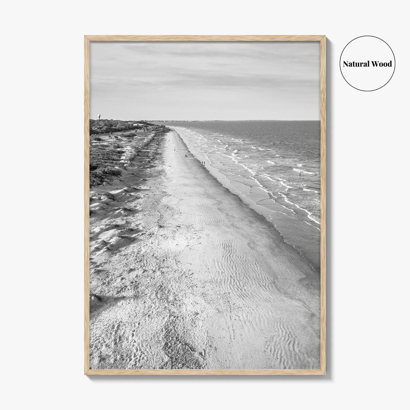 Jekyll Island Black and White Fine Art Photo Print, Georgia Coastal Poster