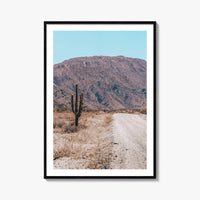 Saguaro National Park Fine Art Photo Print, Tucson Arizona USA Wall Decor Poster