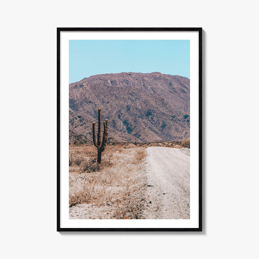 Saguaro National Park Fine Art Photo Print, Tucson Arizona USA Wall Decor Poster