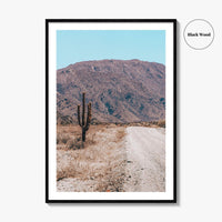 Saguaro National Park Fine Art Photo Print, Tucson Arizona USA Wall Decor Poster