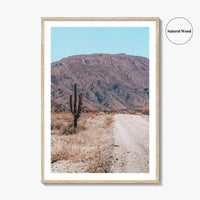 Saguaro National Park Fine Art Photo Print, Tucson Arizona USA Wall Decor Poster