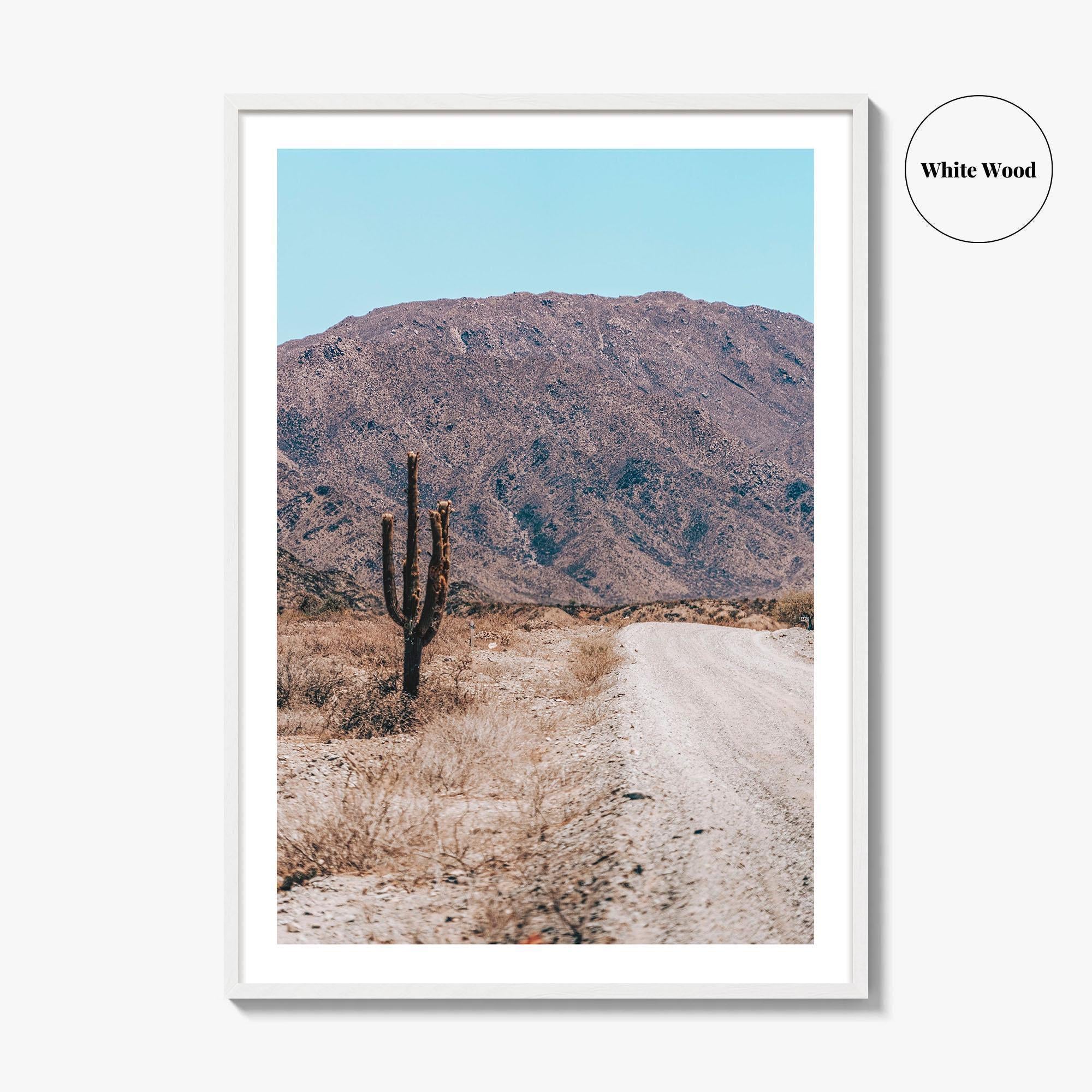 Saguaro National Park Fine Art Photo Print, Tucson Arizona USA Wall Decor Poster