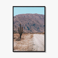 Saguaro National Park Fine Art Photo Print, Tucson Arizona USA Wall Decor Poster