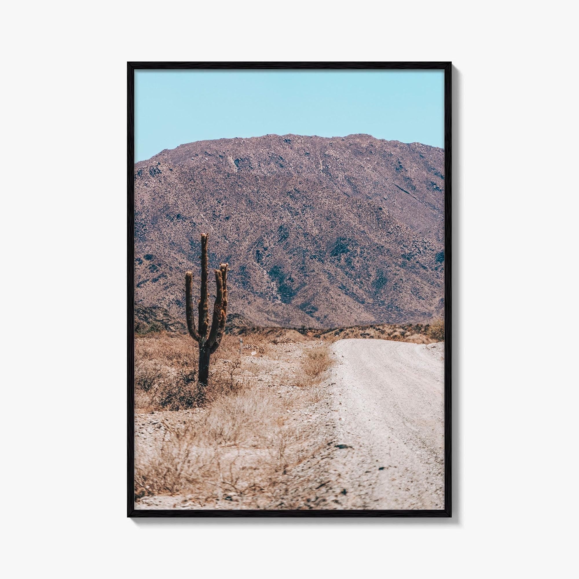 Saguaro National Park Fine Art Photo Print, Tucson Arizona USA Wall Decor Poster