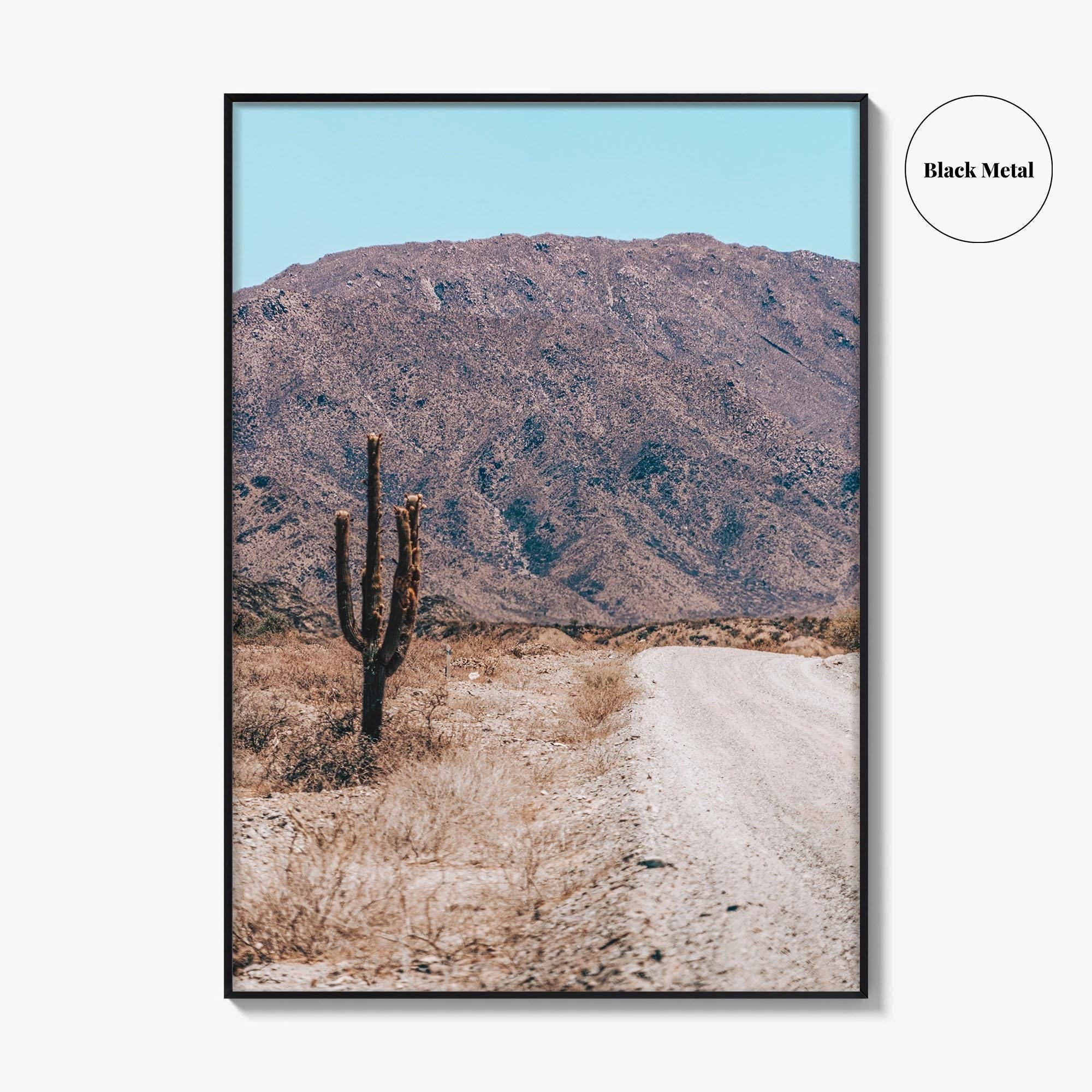 Saguaro National Park Fine Art Photo Print, Tucson Arizona USA Wall Decor Poster