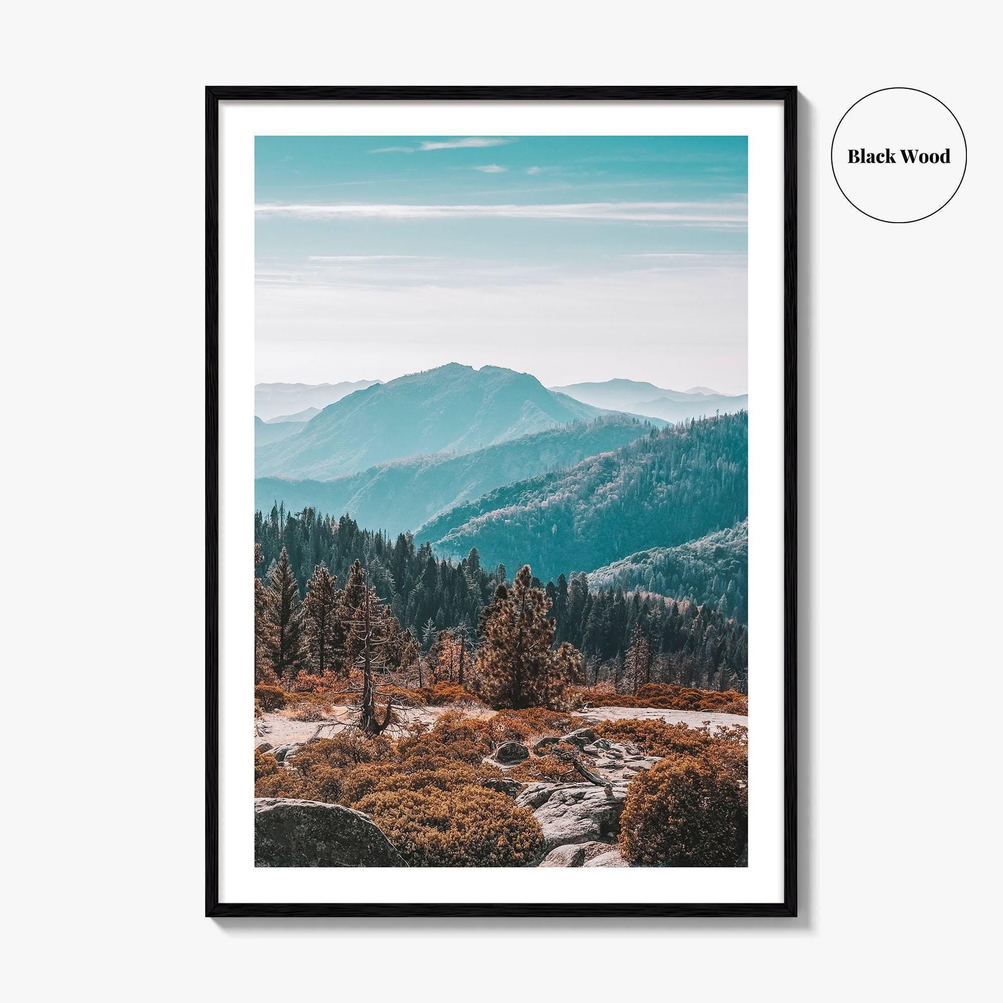 Sequoia National Park Fine Art Photo Print, Redwood Trees, California Poster, USA