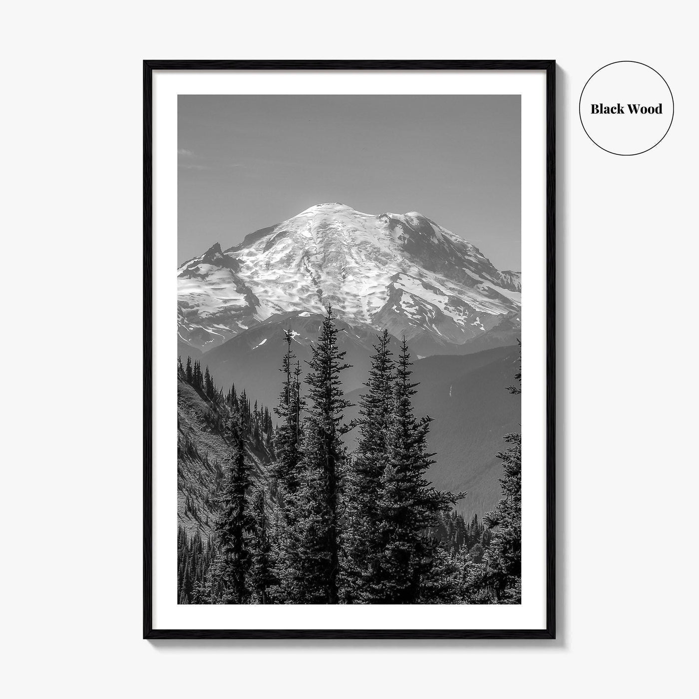 Washington State Black and White Fine Art Photo Print, Mount Rainier National Park Poster