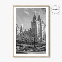 Salt Lake City Black and White Fine Art Photo Print, Utah Poster