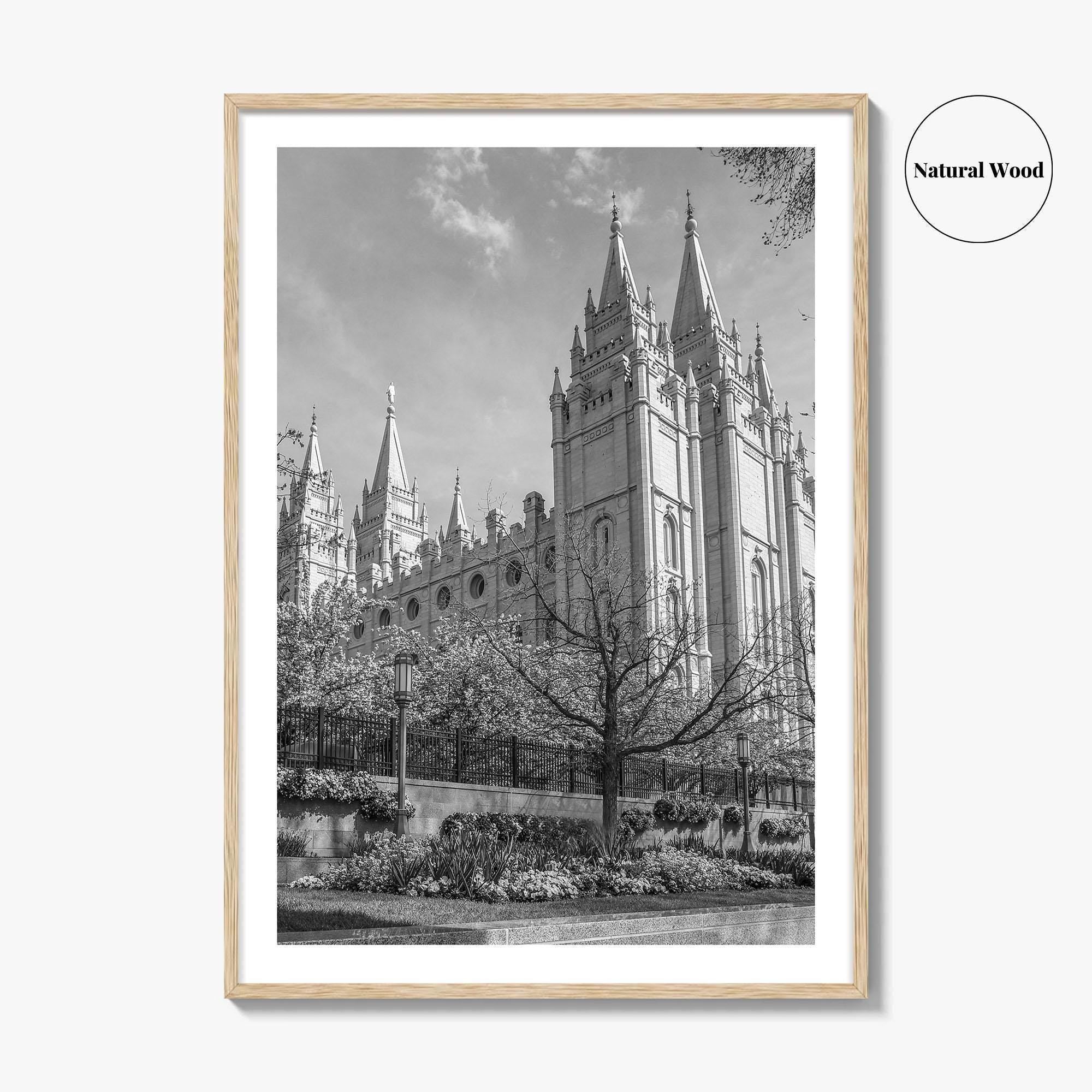 Salt Lake City Black and White Fine Art Photo Print, Utah Poster