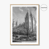 Salt Lake City Black and White Fine Art Photo Print, Utah Poster