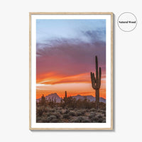 Tucson Arizona Fine Art Photo Print, Sonoran Desert Poster, Saguaro National Park, USA