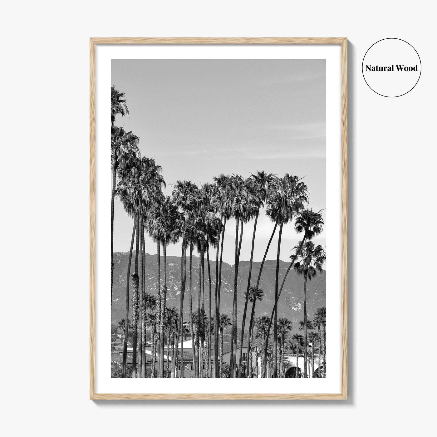 Santa Barbara Black and White Fine Art Photo Print, Palm Trees, California Poster