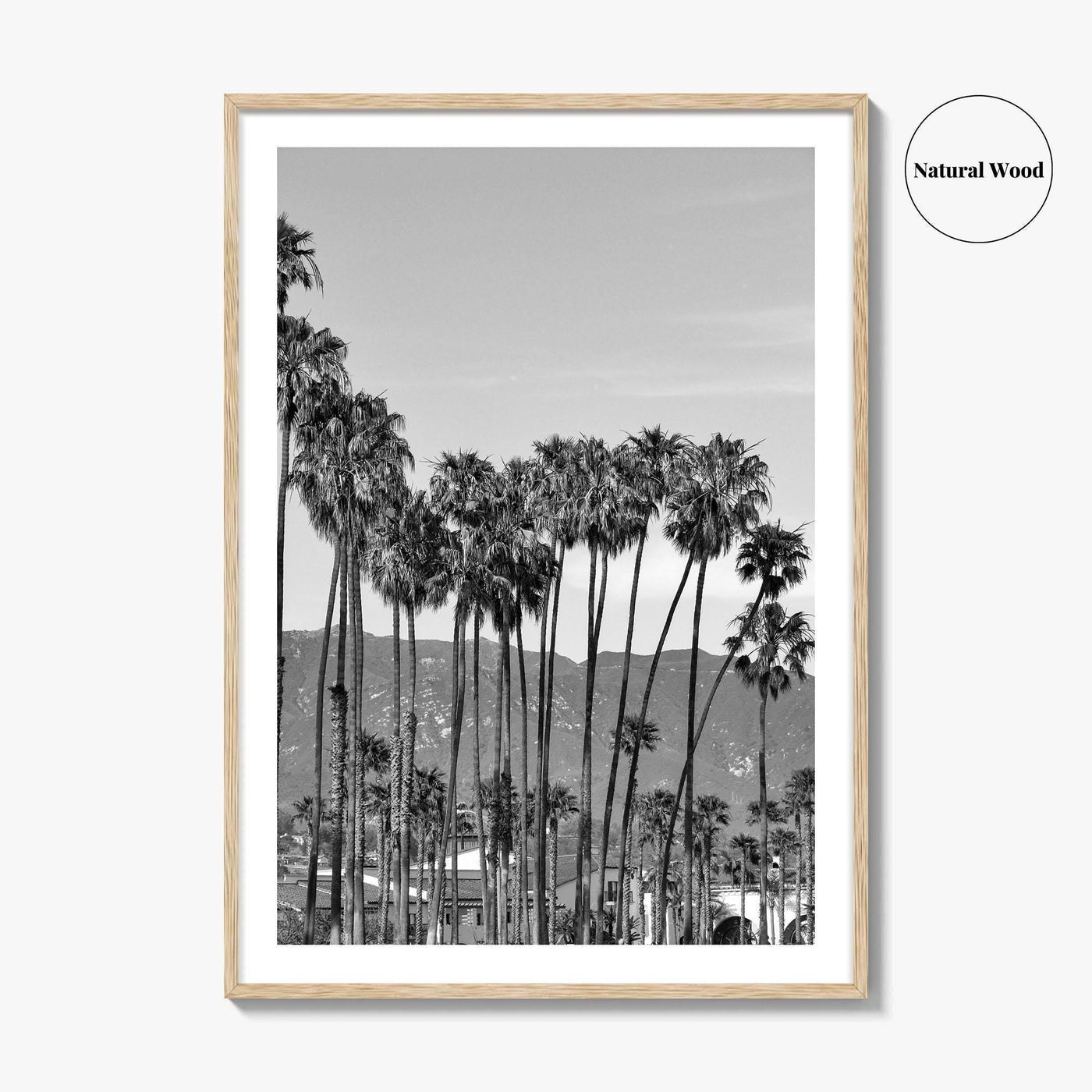 Santa Barbara Black and White Fine Art Photo Print, Palm Trees, California Poster