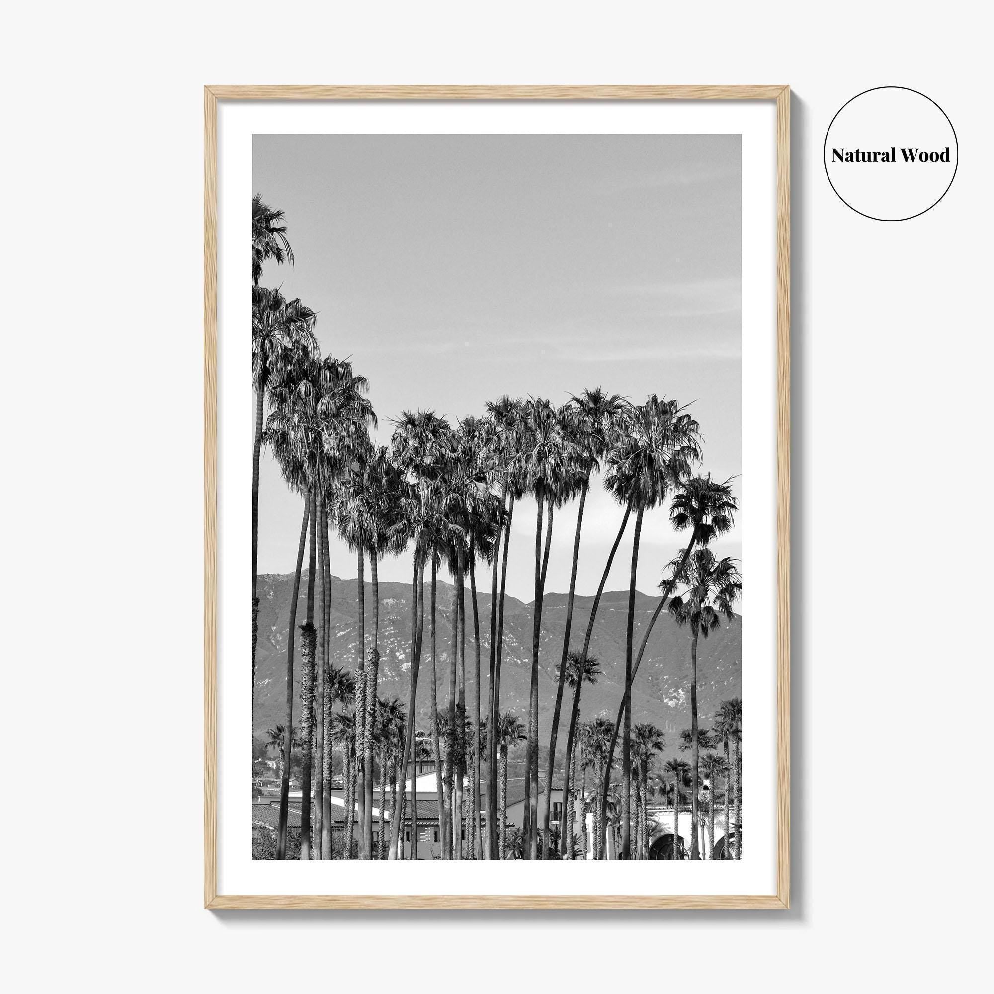 Santa Barbara Black and White Fine Art Photo Print, Palm Trees, California Poster