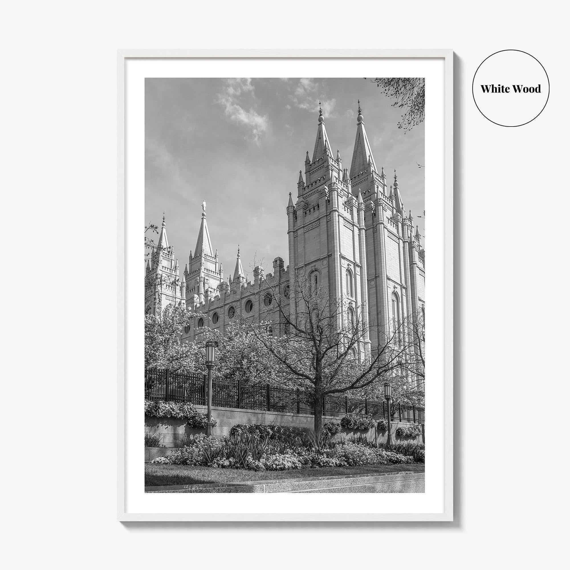 Salt Lake City Black and White Fine Art Photo Print, Utah Poster