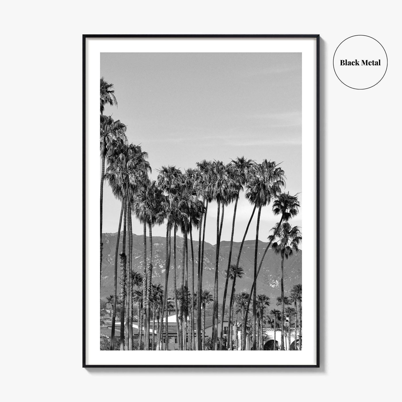 Santa Barbara Black and White Fine Art Photo Print, Palm Trees, California Poster