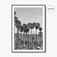 Santa Barbara Black and White Fine Art Photo Print, Palm Trees, California Poster