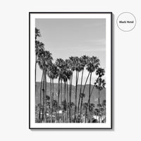 Santa Barbara Black and White Fine Art Photo Print, Palm Trees, California Poster
