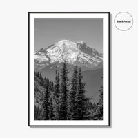 Washington State Black and White Fine Art Photo Print, Mount Rainier National Park Poster