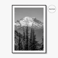 Washington State Black and White Fine Art Photo Print, Mount Rainier National Park Poster