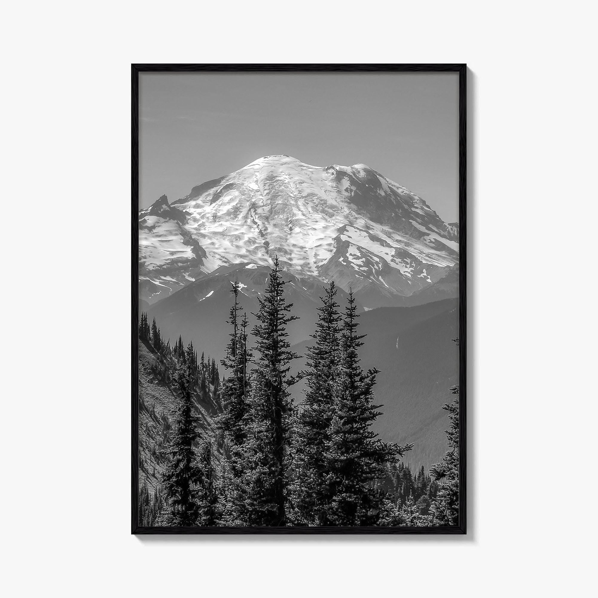 Washington State Black and White Fine Art Photo Print, Mount Rainier National Park Poster