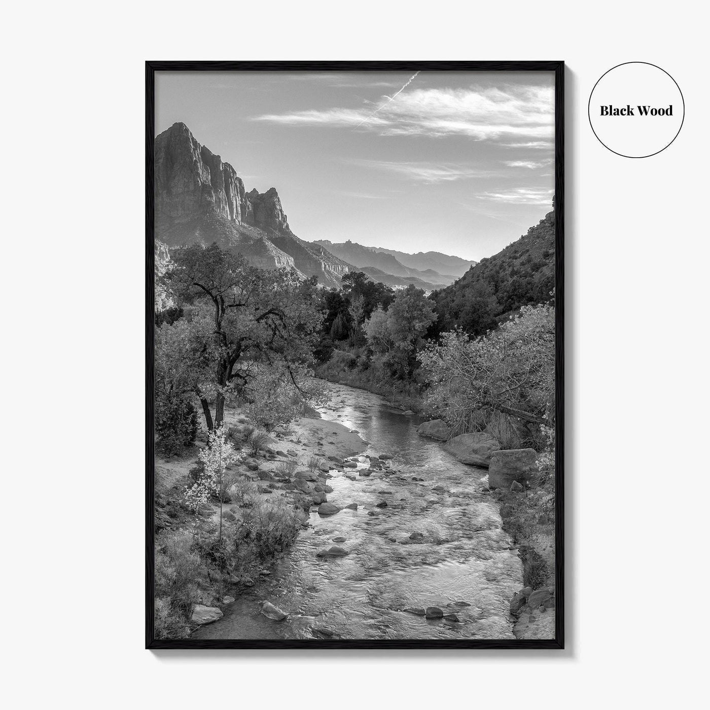 Zion National Park Black and White Fine Art Photo Print, Watchman, Utah USA Poster