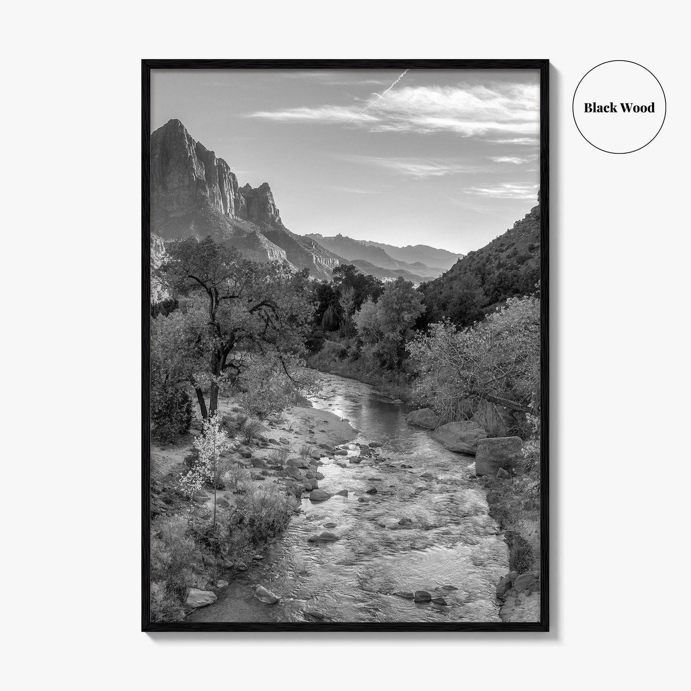 Zion National Park Black and White Fine Art Photo Print, Watchman, Utah USA Poster