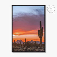 Tucson Arizona Fine Art Photo Print, Sonoran Desert Poster, Saguaro National Park, USA