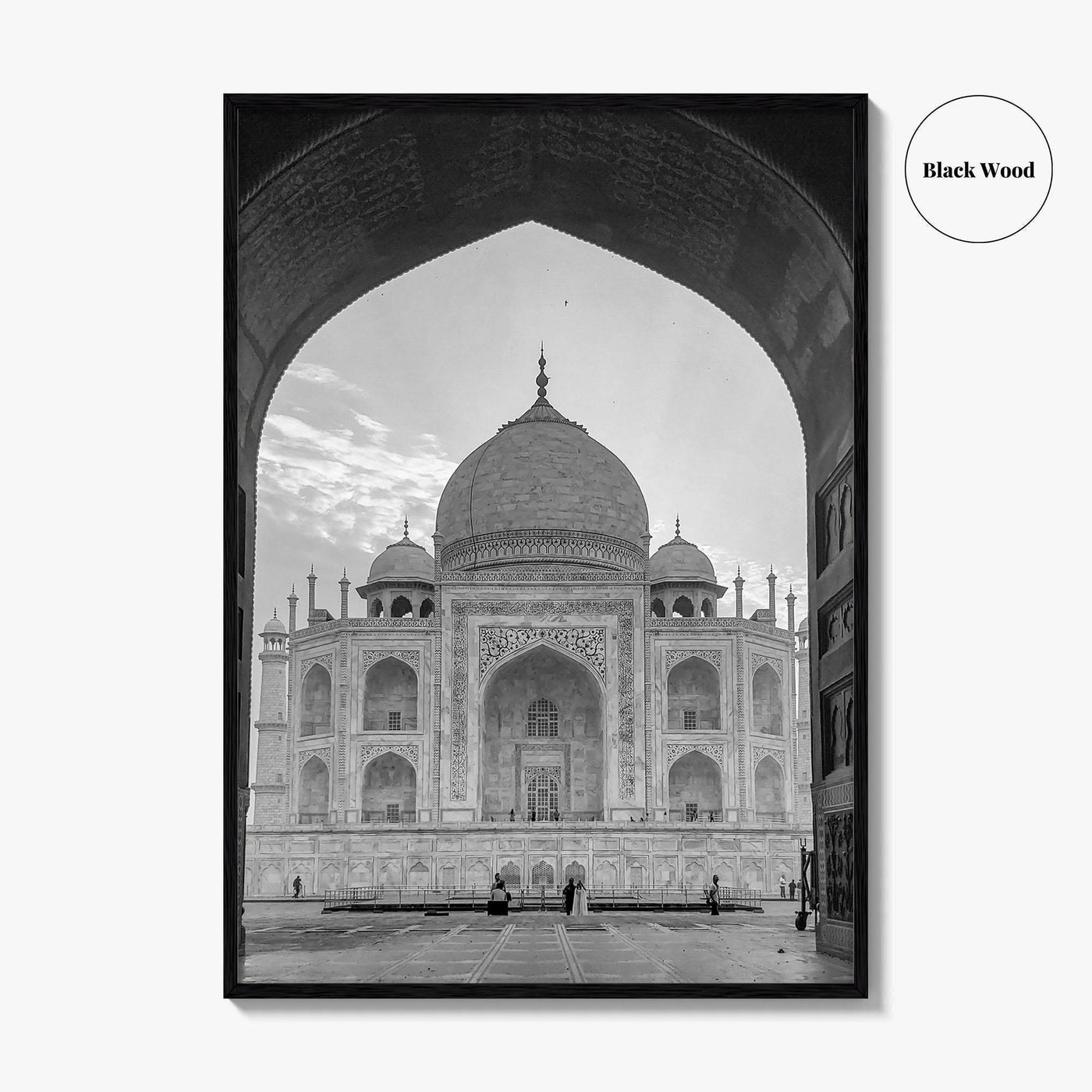 Taj Mahal Black and White Fine Art Photo Print, Agra India Poster