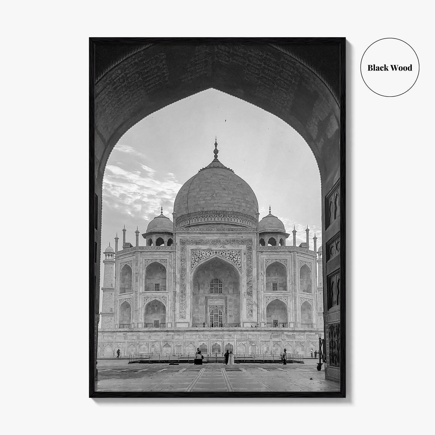 Taj Mahal Black and White Fine Art Photo Print, Agra India Poster