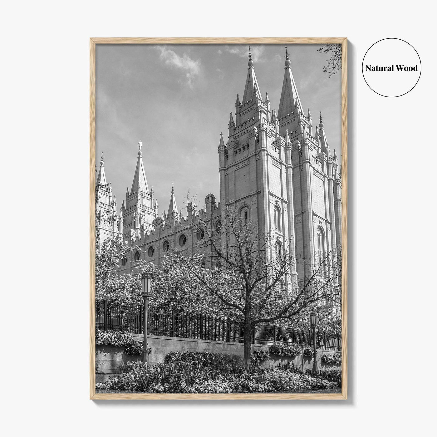 Salt Lake City Black and White Fine Art Photo Print, Utah Poster