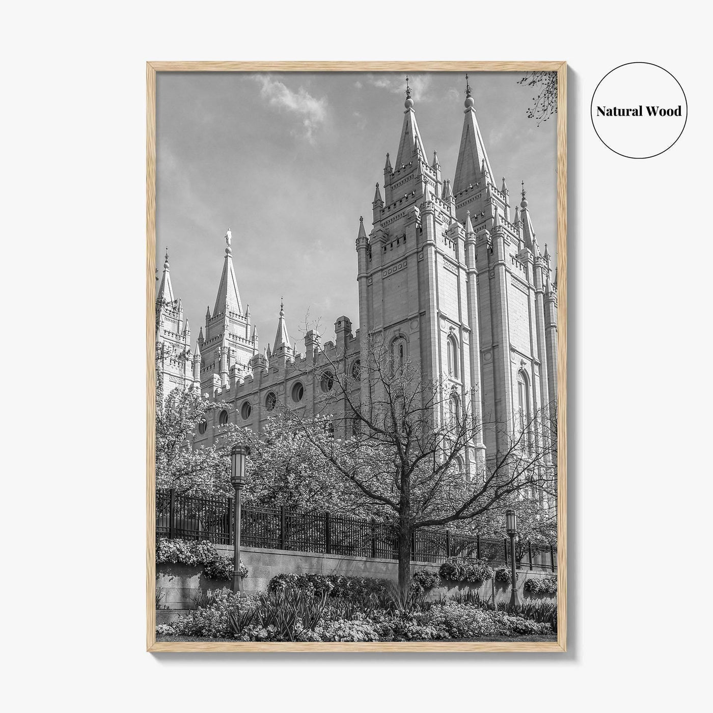 Salt Lake City Black and White Fine Art Photo Print, Utah Poster
