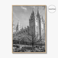 Salt Lake City Black and White Fine Art Photo Print, Utah Poster