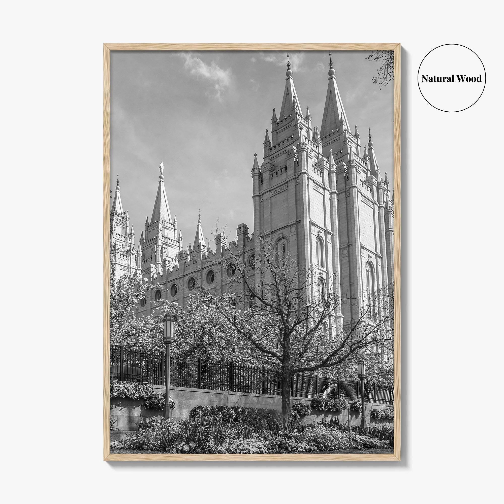 Salt Lake City Black and White Fine Art Photo Print, Utah Poster