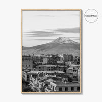Yerevan Black and White Fine Art Photo Print, Armenia Wall Poster, Mount Ararat, Cascade