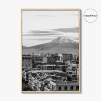 Yerevan Black and White Fine Art Photo Print, Armenia Wall Poster, Mount Ararat, Cascade
