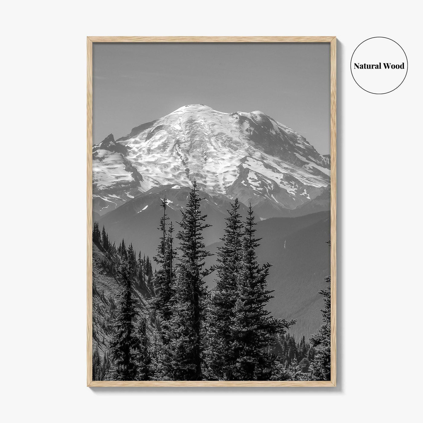 Washington State Black and White Fine Art Photo Print, Mount Rainier National Park Poster