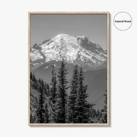 Washington State Black and White Fine Art Photo Print, Mount Rainier National Park Poster