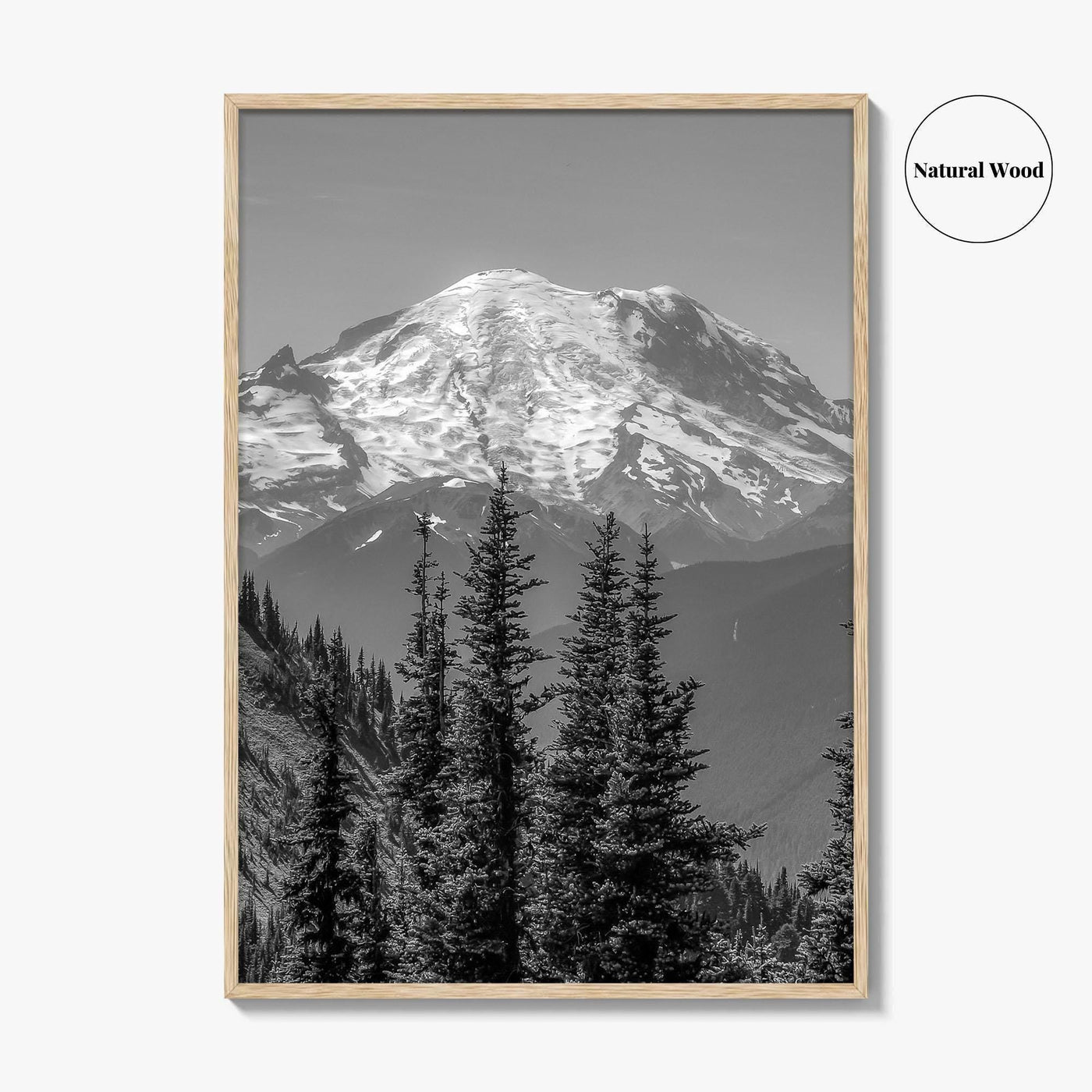 Washington State Black and White Fine Art Photo Print, Mount Rainier National Park Poster