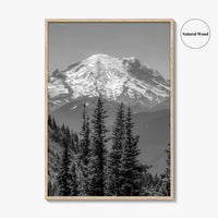 Washington State Black and White Fine Art Photo Print, Mount Rainier National Park Poster