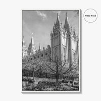 Salt Lake City Black and White Fine Art Photo Print, Utah Poster
