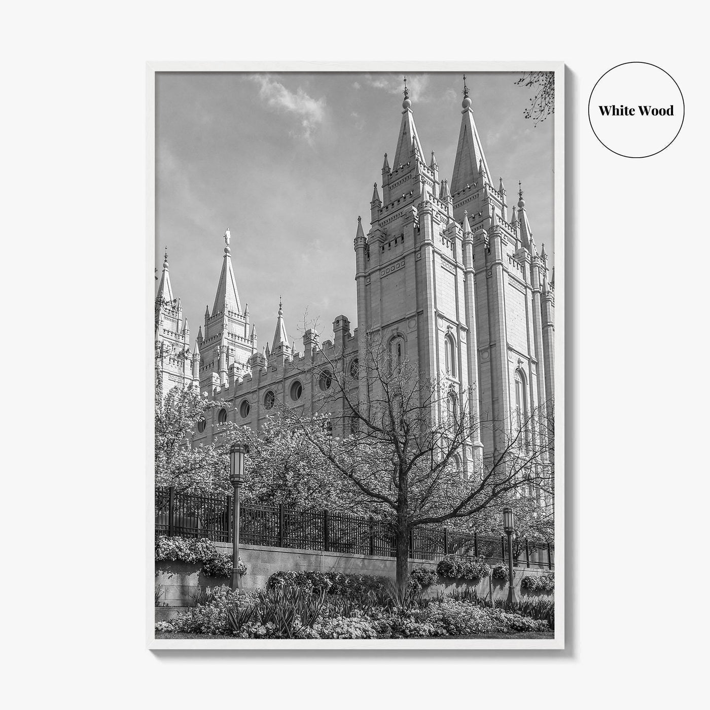 Salt Lake City Black and White Fine Art Photo Print, Utah Poster