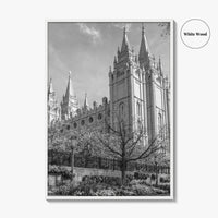 Salt Lake City Black and White Fine Art Photo Print, Utah Poster