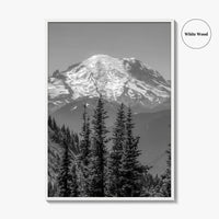 Washington State Black and White Fine Art Photo Print, Mount Rainier National Park Poster