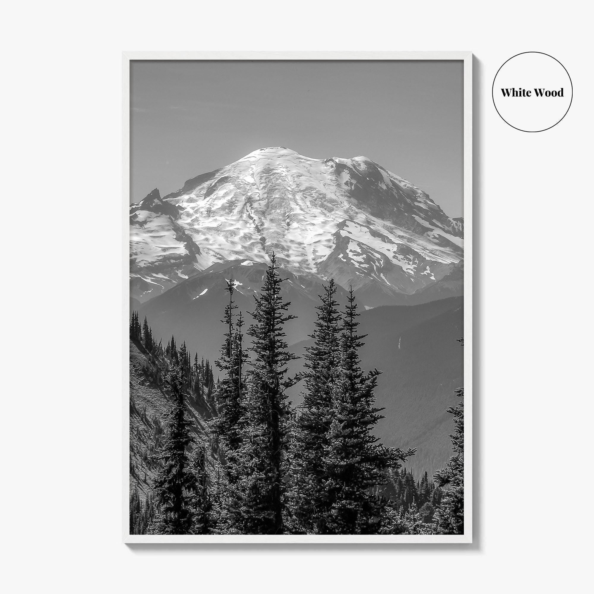 Washington State Black and White Fine Art Photo Print, Mount Rainier National Park Poster