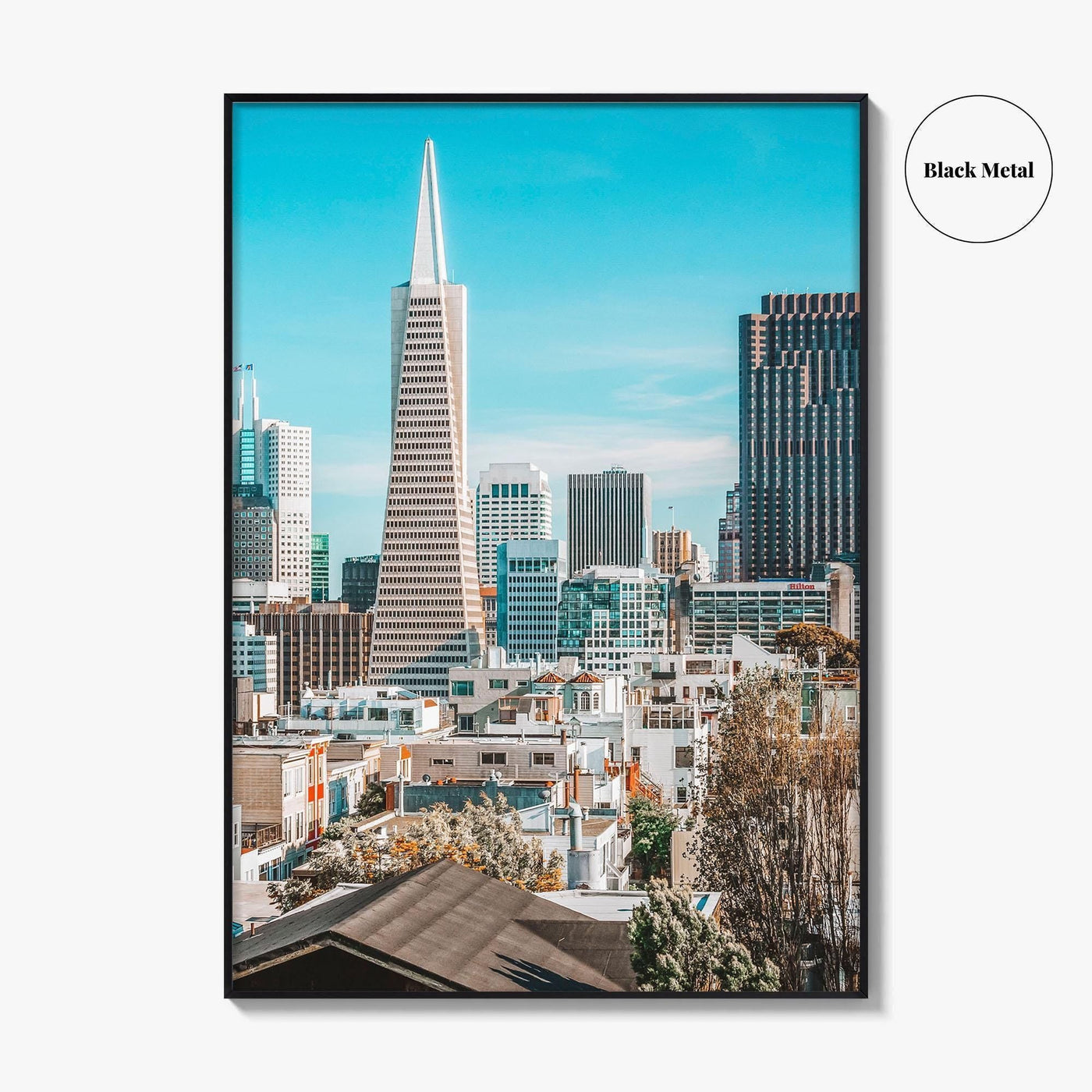 San Francisco Skyline Fine Art Photo Print, Telegraph Hill, Pioneer Park, California Poster