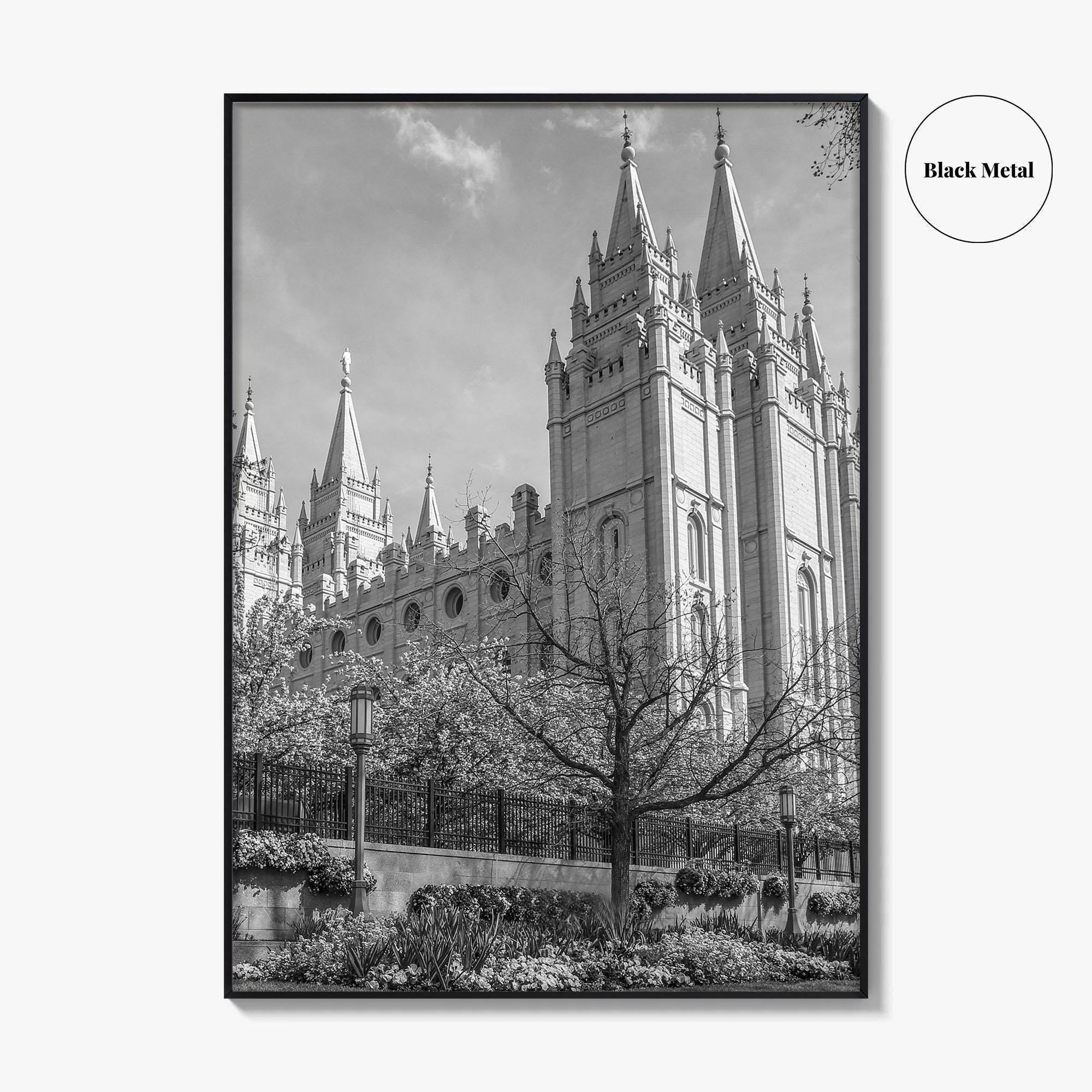 Salt Lake City Black and White Fine Art Photo Print, Utah Poster