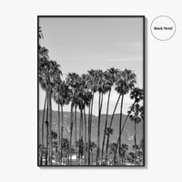 Santa Barbara Black and White Fine Art Photo Print, Palm Trees, California Poster
