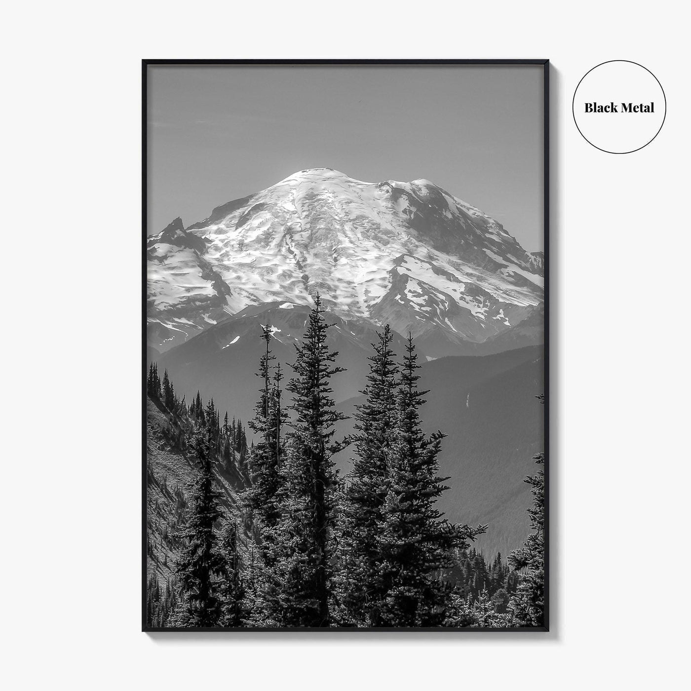 Washington State Black and White Fine Art Photo Print, Mount Rainier National Park Poster
