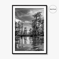 Louisiana Black and White Fine Art Photo Print, New Orleans Swamp, Bayou Poster